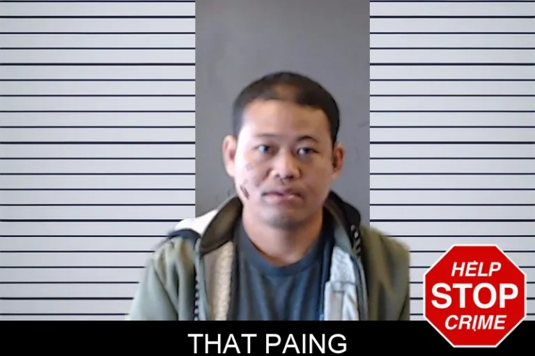 That Paing mugshot – DeKalb County , Georgia That Paing