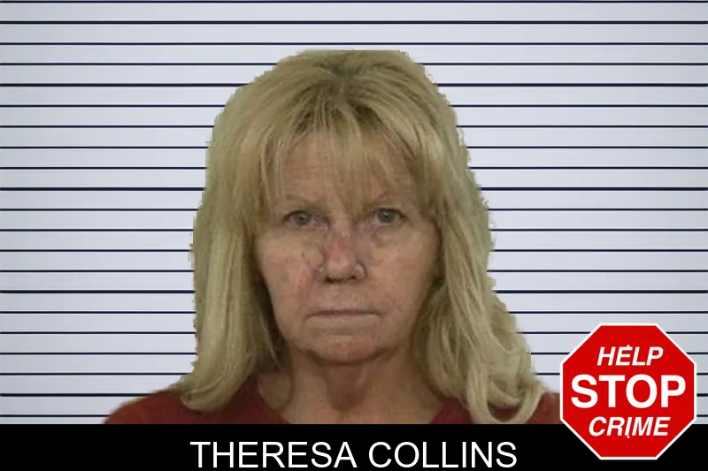 Theresa Collins mugshot
