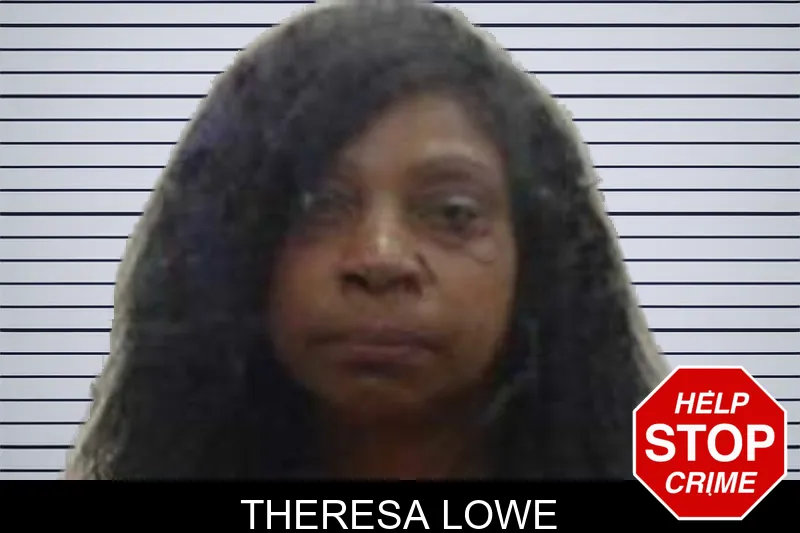 Theresa Lowe mugshot
