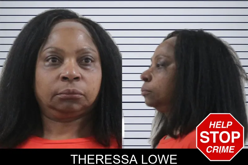 Theressa Lowe mugshot