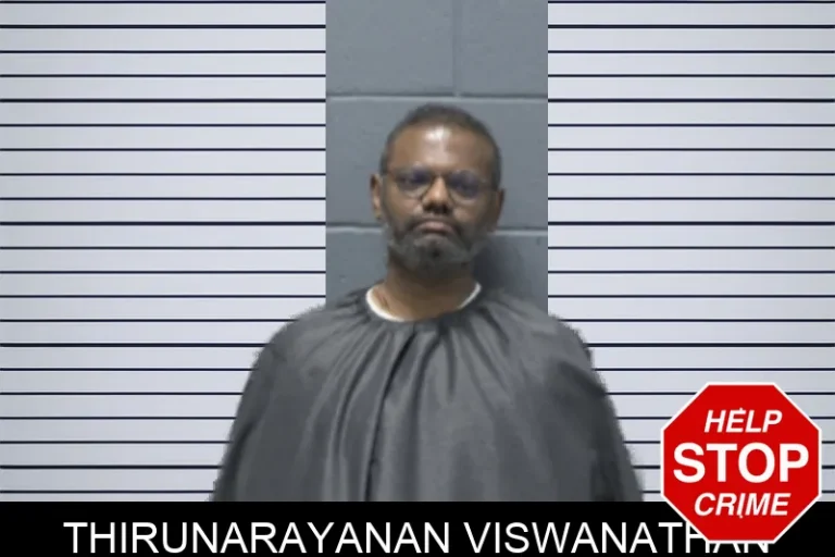 Thirunarayanan Viswanathan