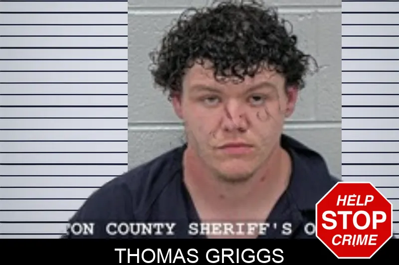 Thomas Griggs mugshot – Walton County , Georgia Thomas Griggs mugshot