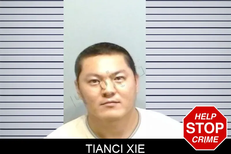Tianci Xie mugshot – Fulton County , Georgia Tianci Xie mugshot