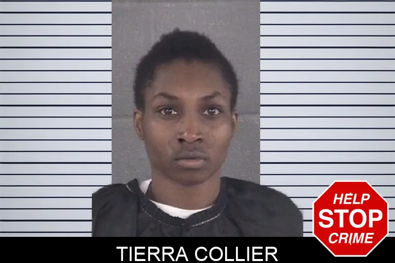 Tierra Collier mugshot
