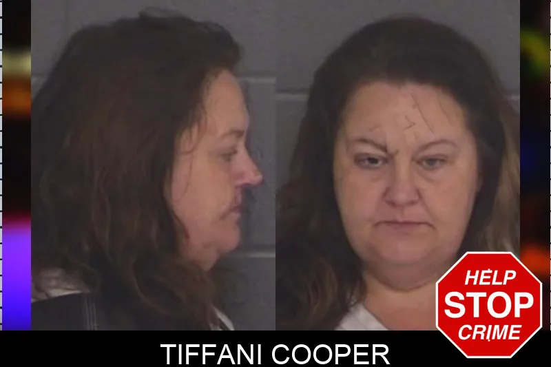 Tiffani Cooper mugshot – Barrow County , Georgia Tiffani Cooper mugshot