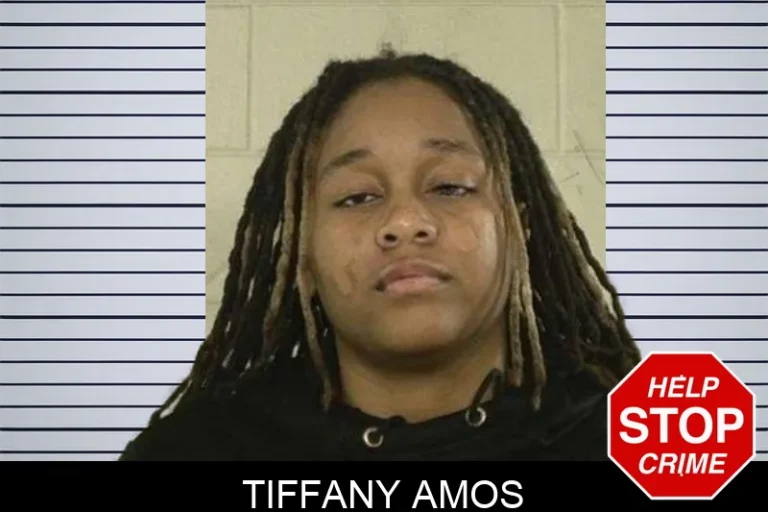 Tiffany Amos mugshot – Liberty County , Georgia Tiffany Amos