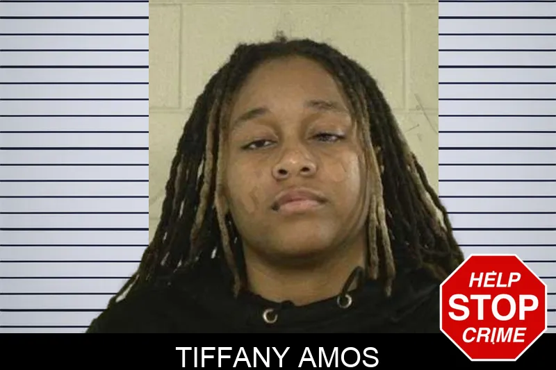 Tiffany Amos mugshot