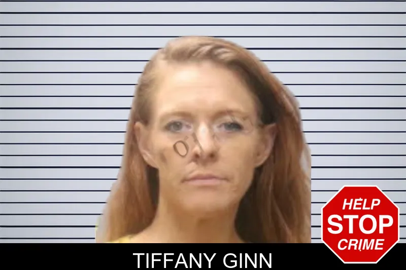 Tiffany Ginn mugshot