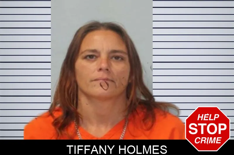 Tiffany Holmes mugshot