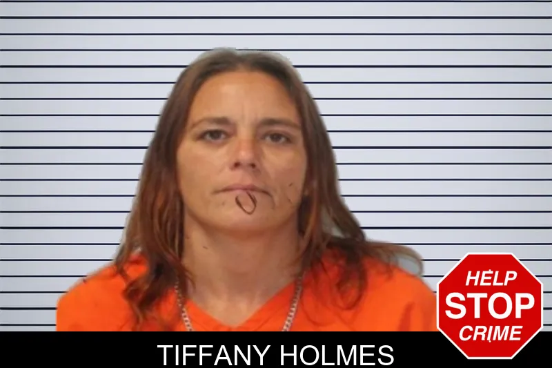 Tiffany Holmes mugshot