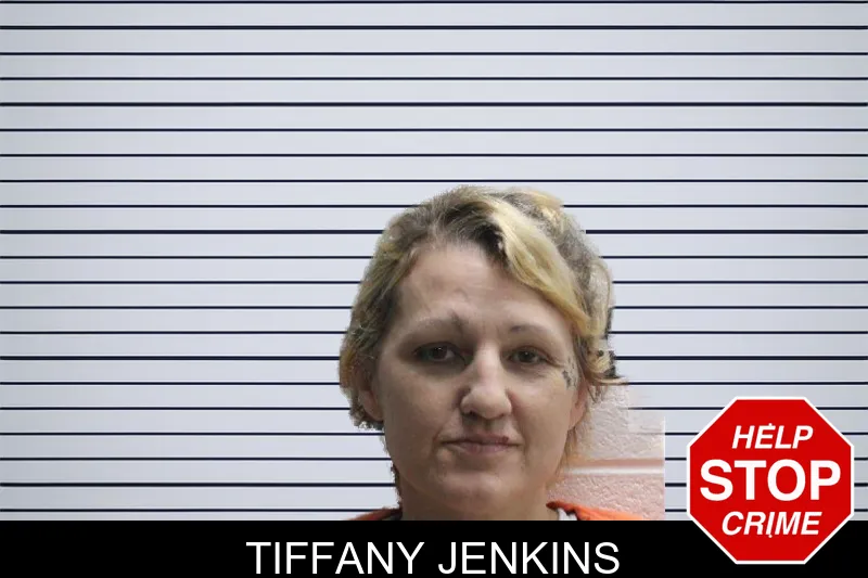 Tiffany Jenkins mugshot