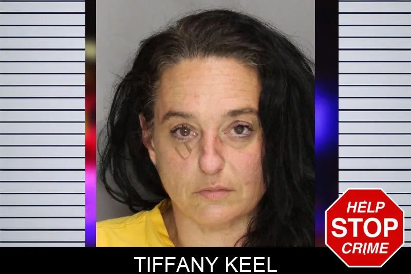 Tiffany Keel mugshot