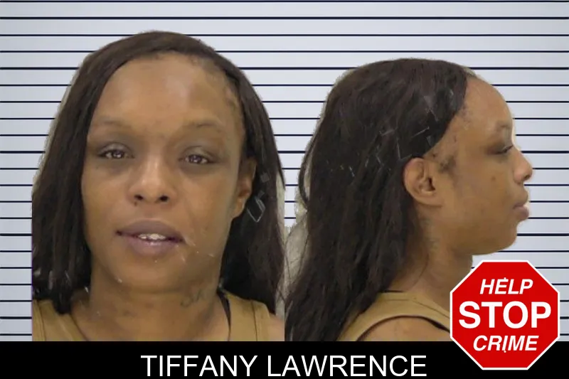 Tiffany Lawrence mugshot – Richmond County , Georgia Tiffany Lawrence mugshot