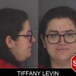 Tiffany Levin mugshot – Barrow County , Georgia Tiffany Levin mugshot