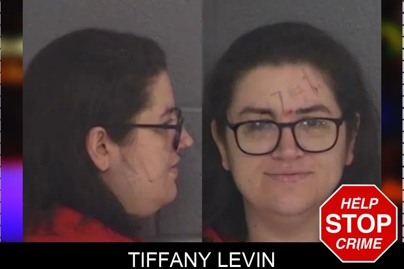 Tiffany Levin mugshot