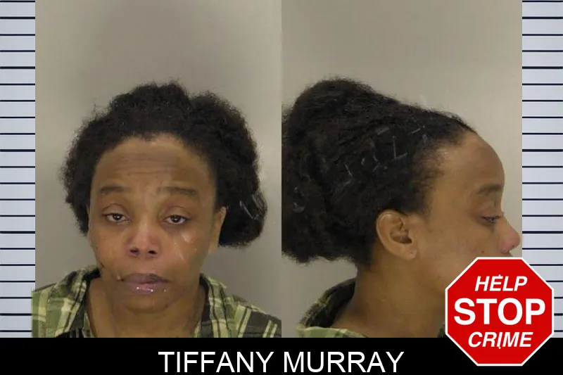 Tiffany Murray mugshot – Richmond County , Georgia Tiffany Murray mugshot