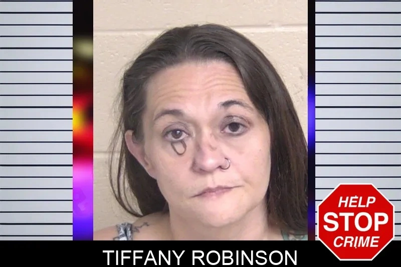 Tiffany Robinson mugshot