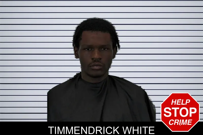 Timmendrick White mugshot
