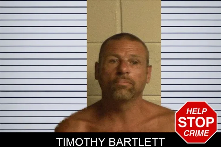 Timothy Bartlett