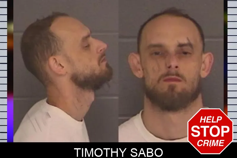 Timothy Sabo mugshot