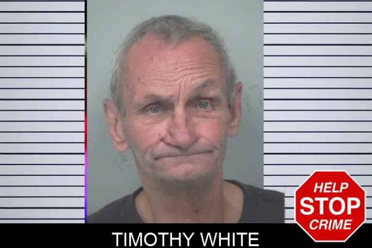 Timothy White mugshot – Gwinnett County , Georgia Timothy White