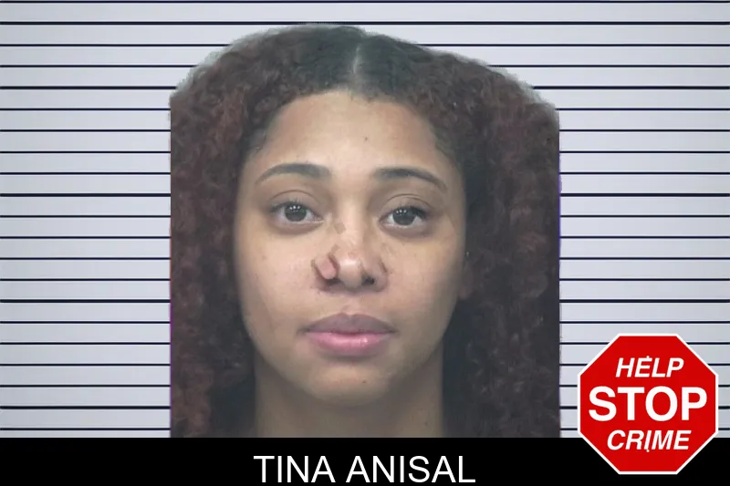 Tina Anisal mugshot