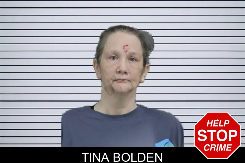 Tina Bolden mugshot
