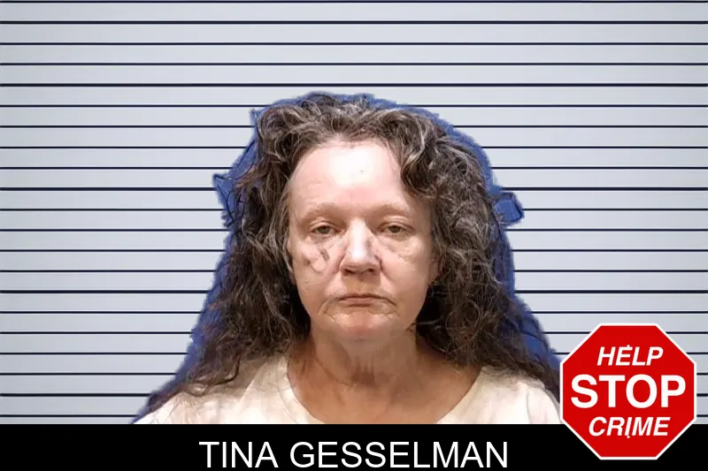 Tina Gesselman mugshot
