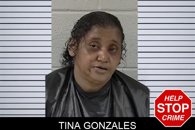 Tina Gonzales mugshot – Elbert County , Georgia Tina Gonzales mugshot