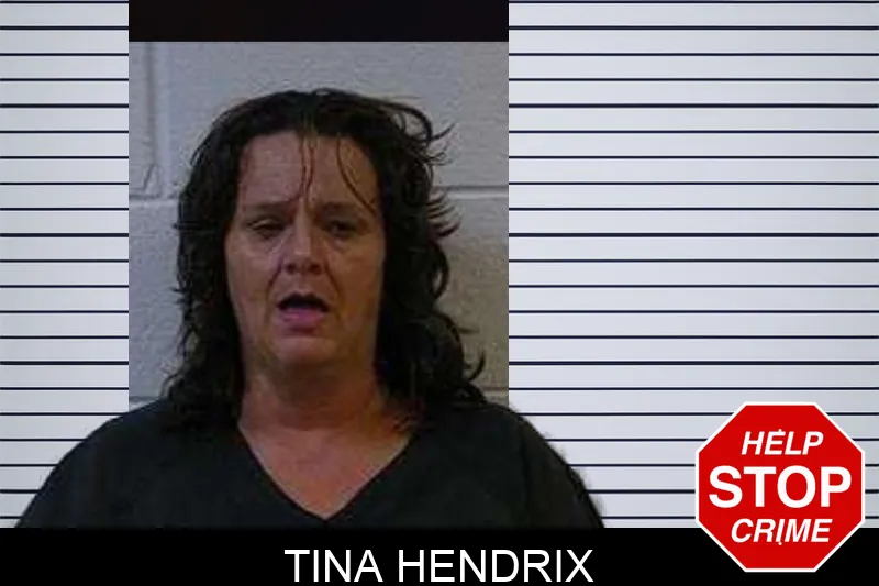 Tina Hendrix mugshot
