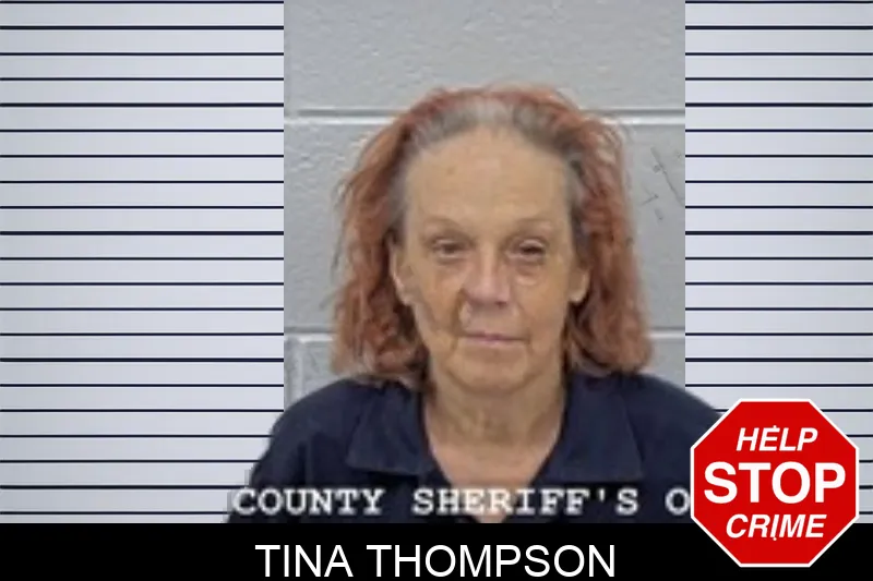 Tina Thompson mugshot