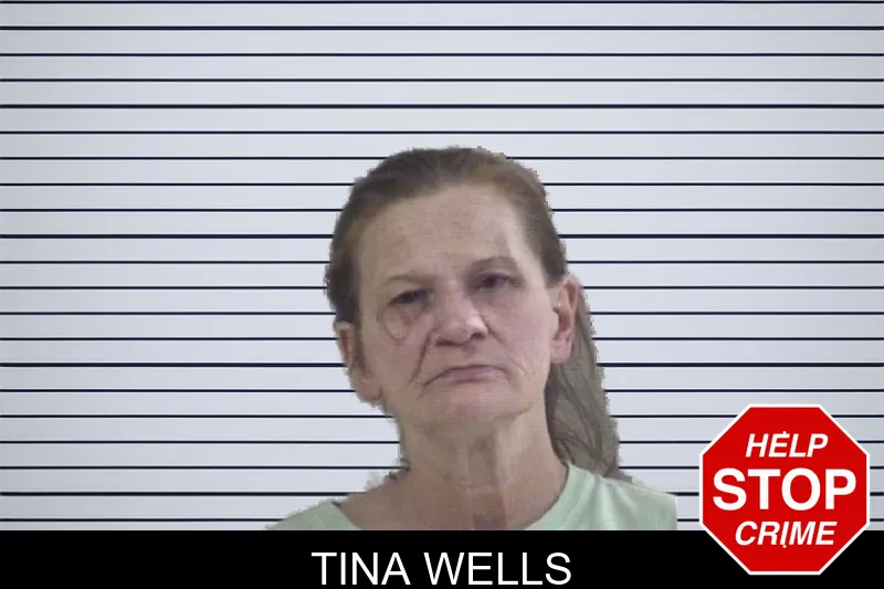 Tina Wells mugshot