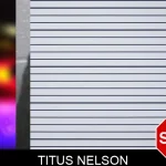 Titus Nelson mugshot