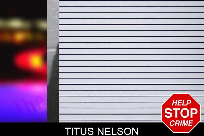 Titus Nelson mugshot