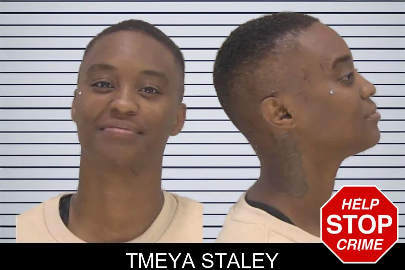 Tmeya Staley mugshot