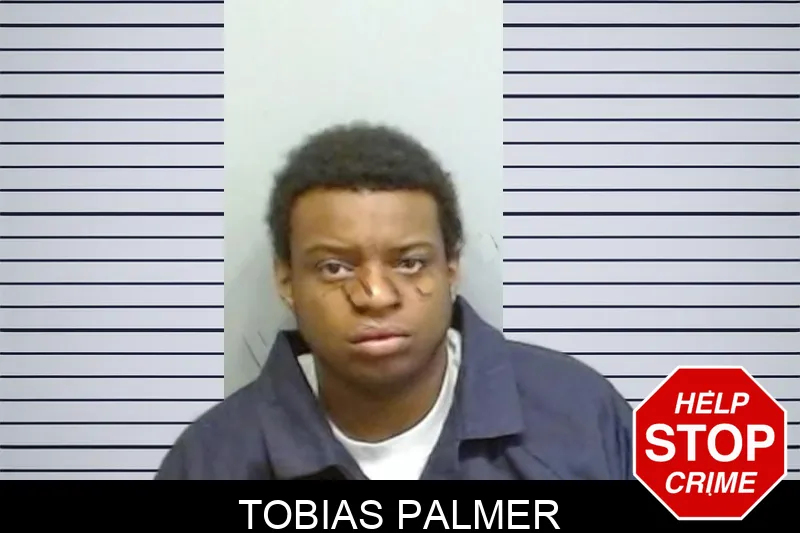 Tobias Palmer mugshot – Fulton County , Georgia Tobias Palmer mugshot