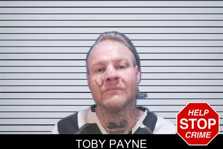 Toby Payne