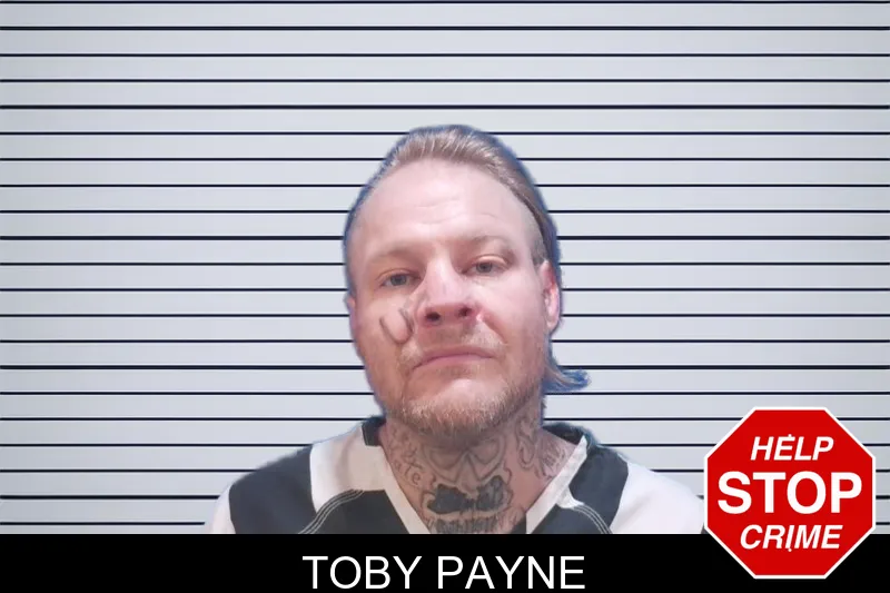 Toby Payne mugshot