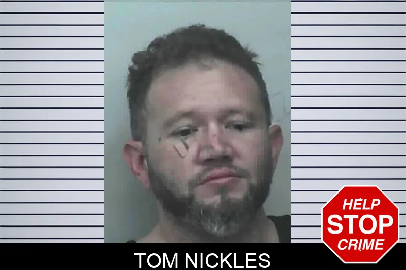 Tom Nickles mugshot – Lanier County , Georgia Tom Nickles mugshot