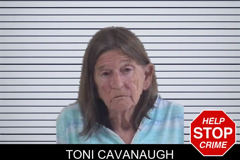 Toni Cavanaugh mugshot – Whitfield County , Georgia Toni Cavanaugh mugshot