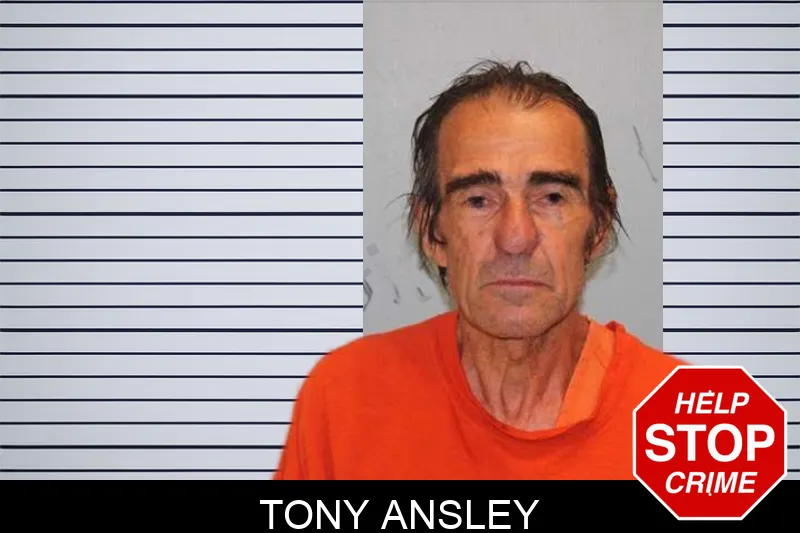 Tony Ansley mugshot – Grady County , Georgia Tony Ansley mugshot