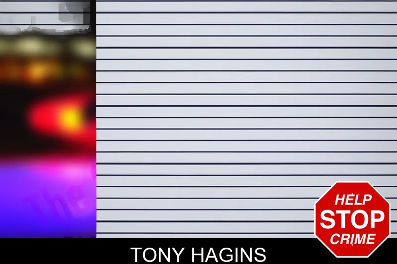 Tony Hagins mugshot