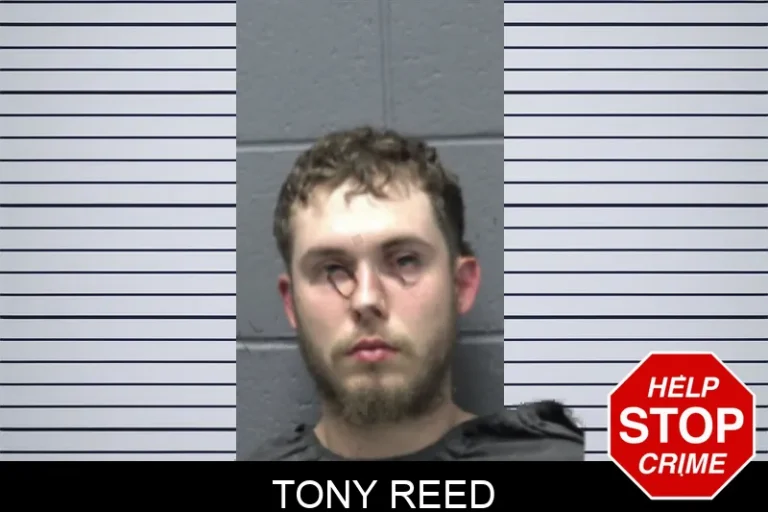Tony Reed