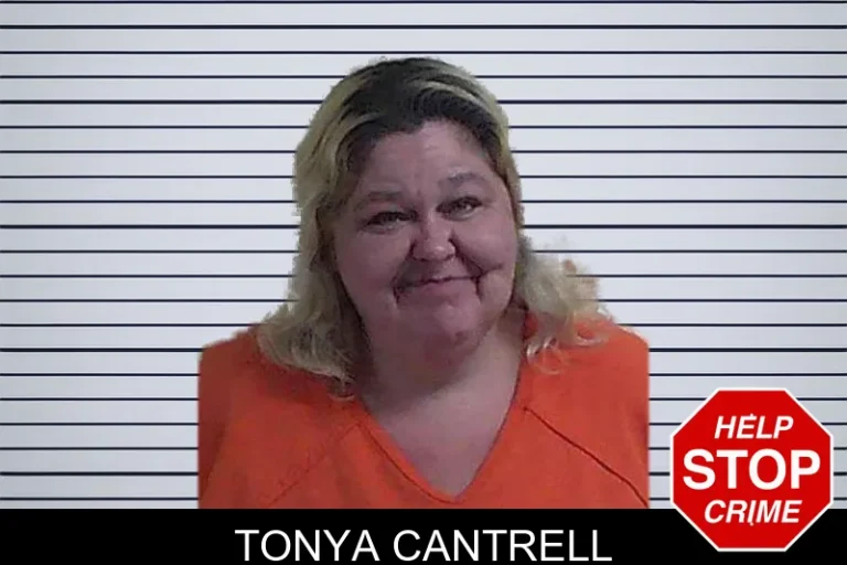 Tonya Cantrell mugshot – Fannin County , Georgia Tonya Cantrell