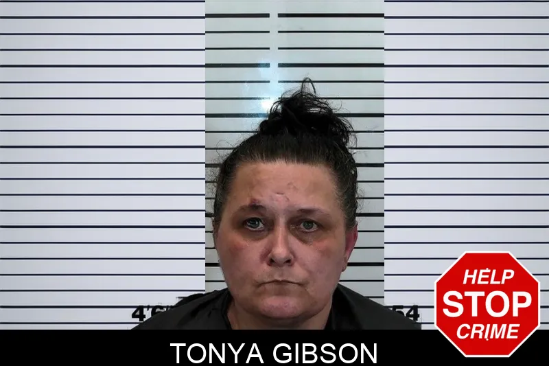 Tonya Gibson mugshot