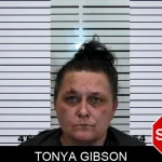 Tonya Gibson mugshot