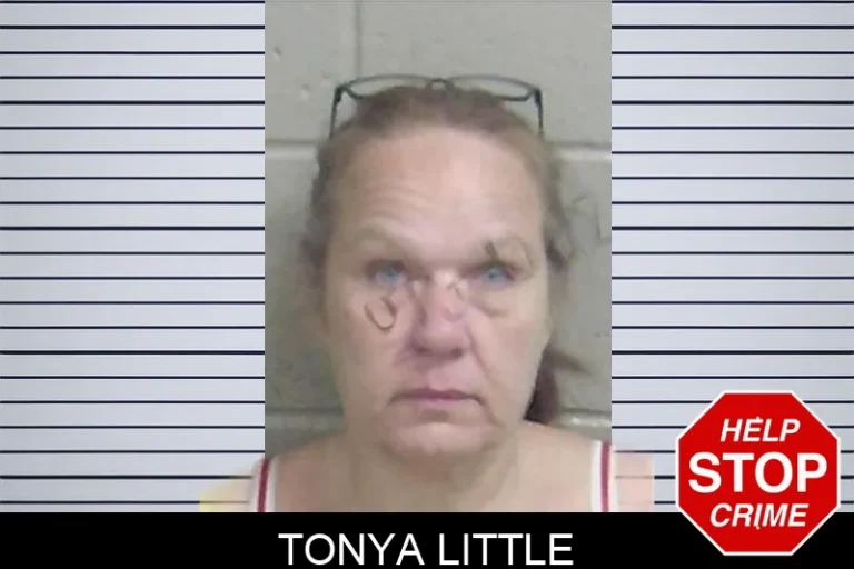 Tonya Little mugshot – Wayne County , Georgia Tonya Little