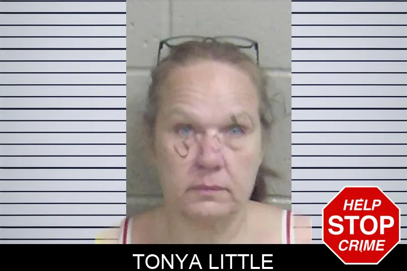 Tonya Little mugshot – Wayne County , Georgia Tonya Little mugshot