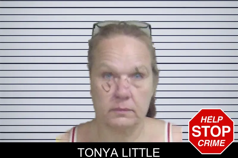 Tonya Little mugshot