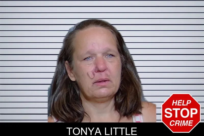 Tonya Little mugshot